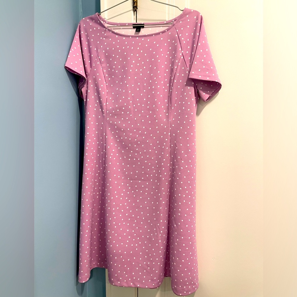NWT - Ann Taylor - Purple Polka Dot Swing Dress - Size L